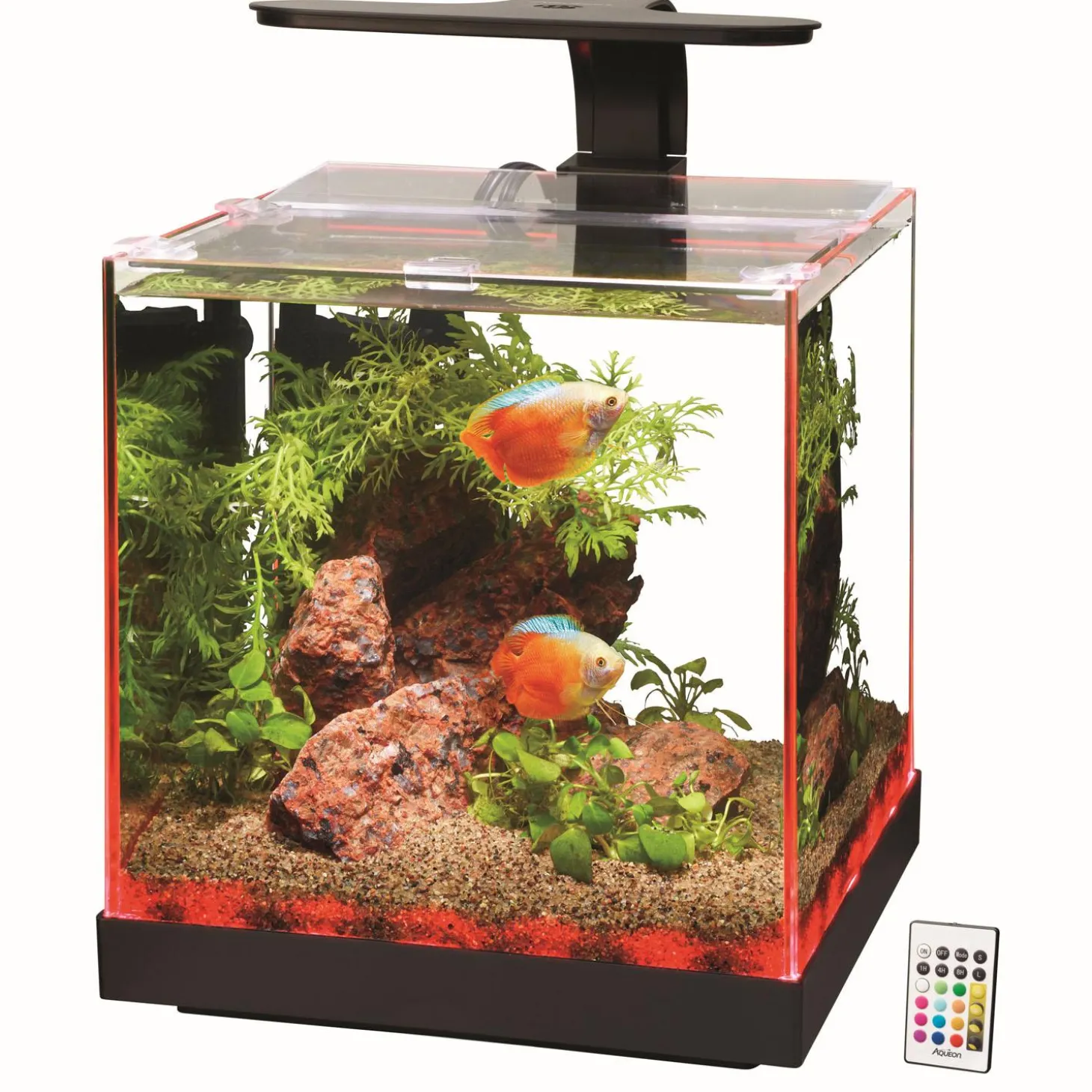 Edgelit Rimless Glass Cube Aquarium