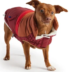 Elasto-Fit Dark Red Retro Puffer