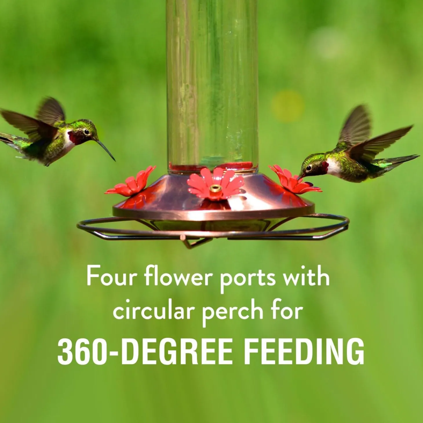 Elegant Copper Glass Hummingbird Feeder