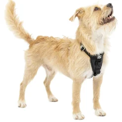 Enhanced Strength Tru-Fit Smart Black Dog Harness