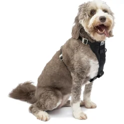 Enhanced Strength Tru-Fit Black Dog Car Harness & Seatbelt Tether