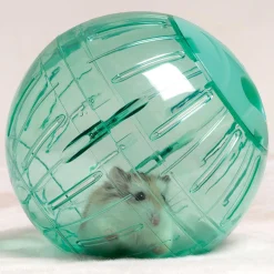 Enriched Life Small Animal Run Around Ball