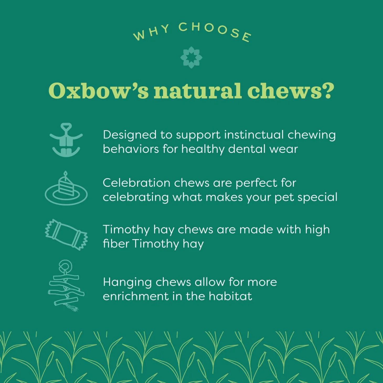 Enriched Life Apple Stick Bouquet Small Animal Toy