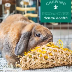 Enriched Life Apple Stick Bouquet Small Animal Toy