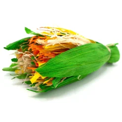 Enriched Life Celebration Bouquet Small Animal Toy