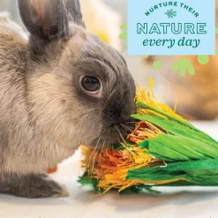 Enriched Life Celebration Bouquet Small Animal Toy