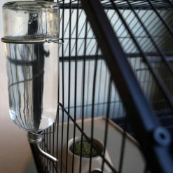 Enriched Life Chew Proof Small Animal Glass Water Bottle