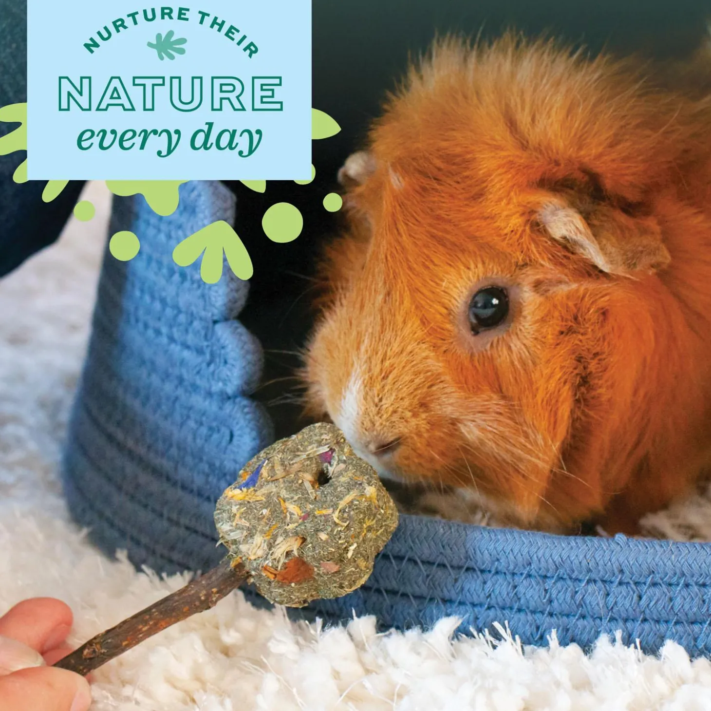 Enriched Life Deluxe Hay Wrap Small Animal Toy