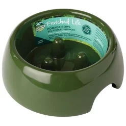 Enriched Life Forage Green Small Animal Bowl
