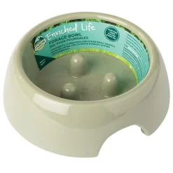 Enriched Life Forage Ivory Small Animal Bowl