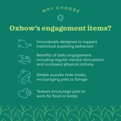 Enriched Life Hide 'n Wobble Small Animal Toy