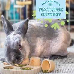 Enriched Life Hide 'n Wobble Small Animal Toy