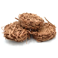 Enriched Life Nesting Disks