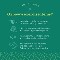 Enriched Life Run & Hide Small Animal Saucer