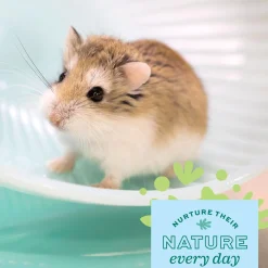 Enriched Life Run & Hide Small Animal Saucer