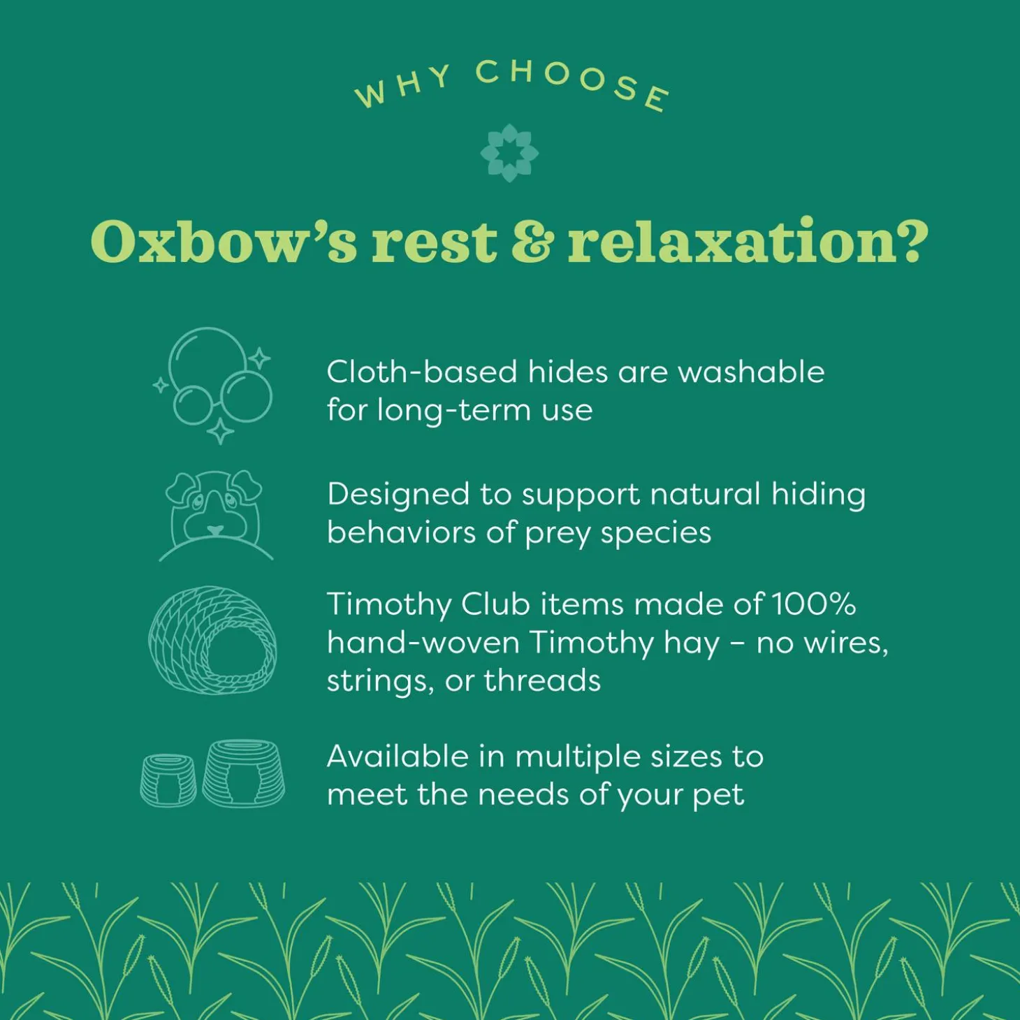 Enriched Life Small Animal Cozy Cave