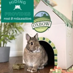 Enriched Life Small Animal Cozy Cave