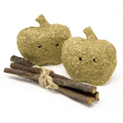 Enriched Life Timothy Apples & Stix Small Animal Toy
