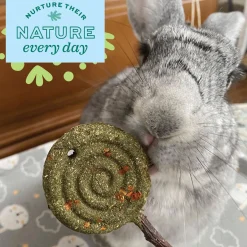 Enriched Life Timothy Carrot Lollipop Small Animal Toy