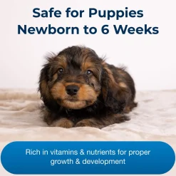 Esbilac Puppy Milk Replacer Powder