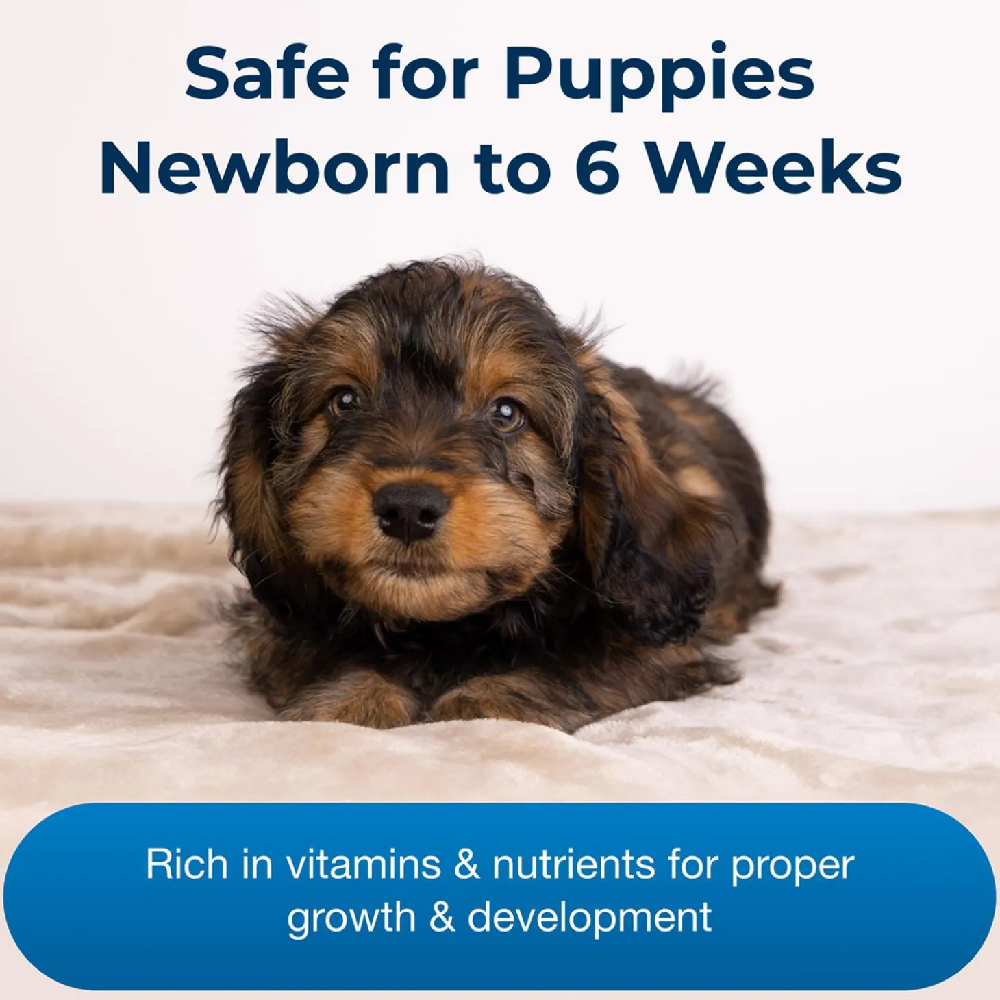 Esbilac Puppy Milk Replacer Powder