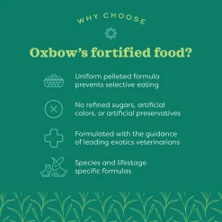 Essentials Adult Rabbit Food