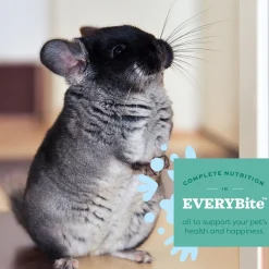 Essentials Chinchilla Food