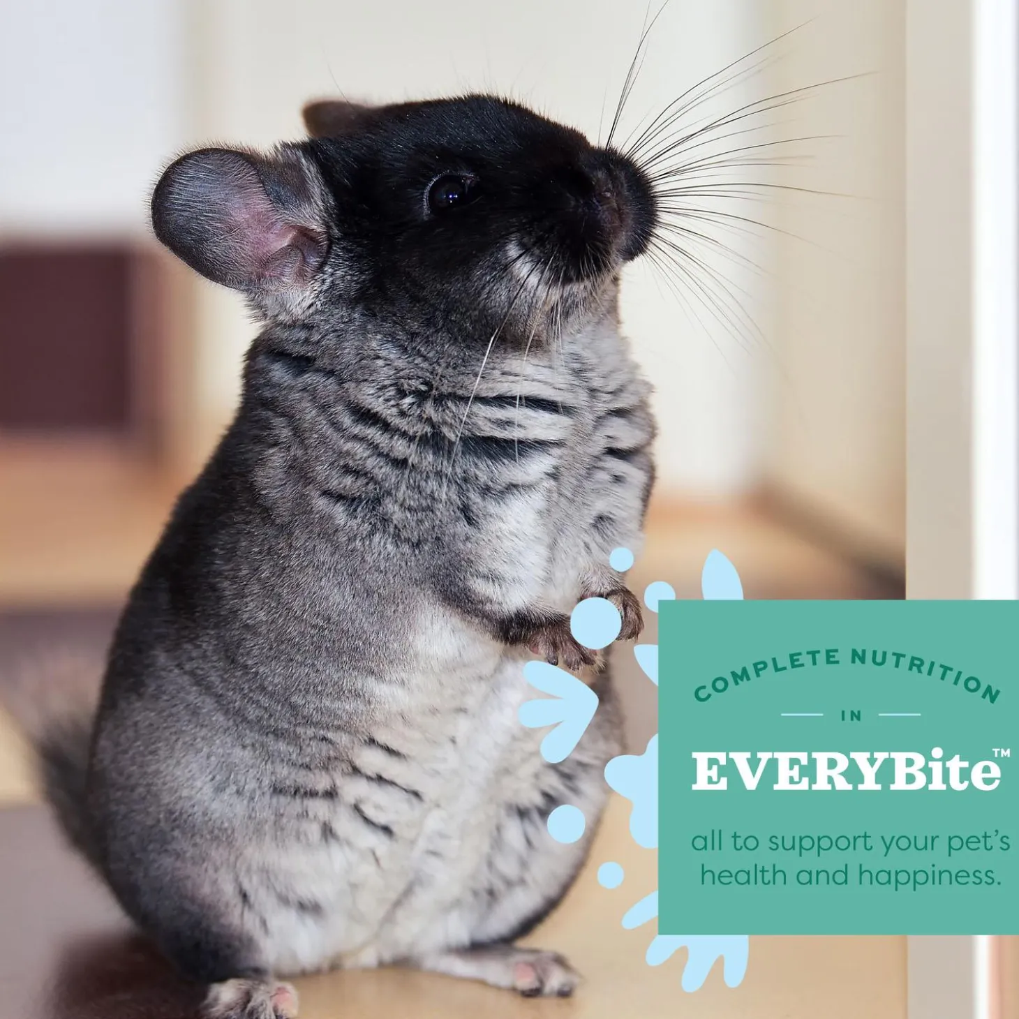 Essentials Chinchilla Food