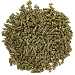 Essentials Young Guinea Pig