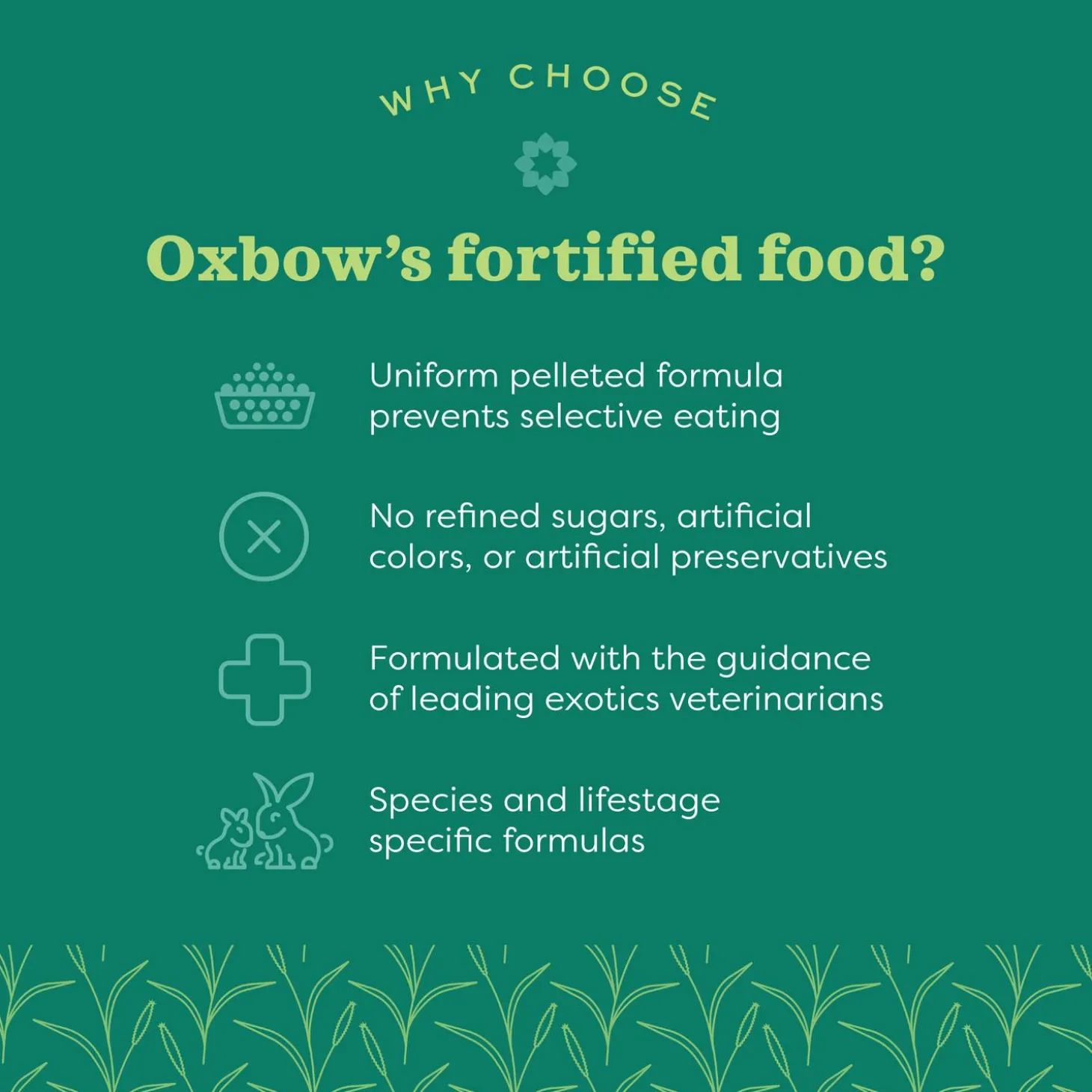 Essentials Young Rabbit Food