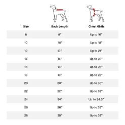 Everest Explorer Red Jacket