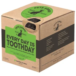 Every Day is Toothday