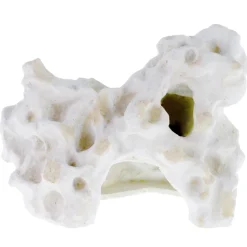 Exotic Environments Holey Rock Cave