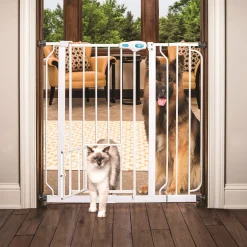 Extra Tall Assembly Gate