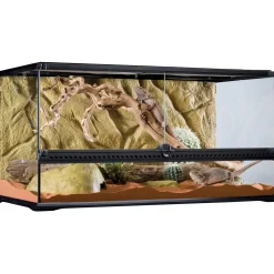 Extra Wide Glass Terrarium