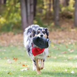 Extreme Flyer Dog Toy