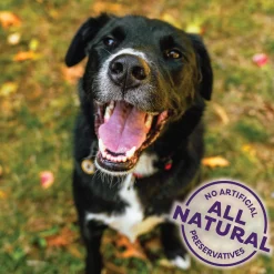 Fall Favourite P-Nuttier Oven Baked Dog Treats