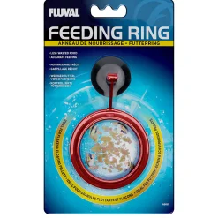 Feeding Ring