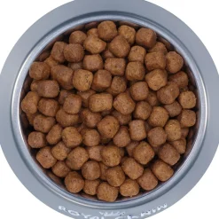 Feline Breed Nutrition Maine Coon Adult Cat Food