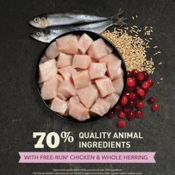 First Feast Kitten Cat Food