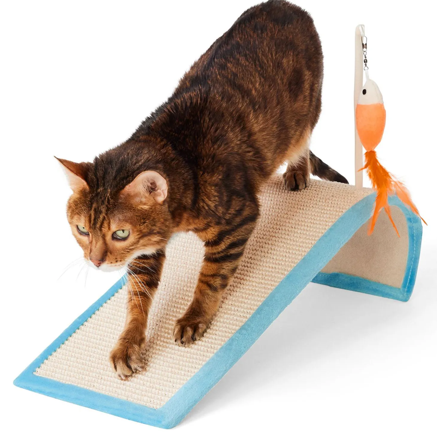 Fish Teaser Cat Scratcher