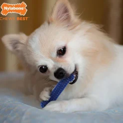 Flexi Chew Small Dog Value Pack Dog Toys