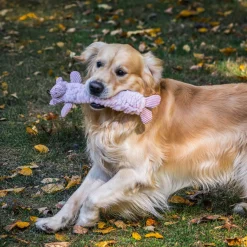 Fluffer Long & Lovelie Penelope Pig Dog Toy