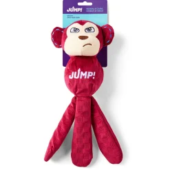 Flying Monkey Dog Toy