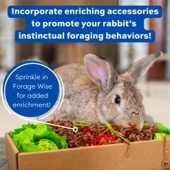 Forage Wise Complete Adult Rabbit Food