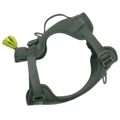 Forest Green Neoprene Dog Harness
