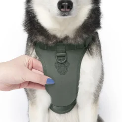 Forest Green Neoprene Dog Harness
