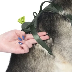 Forest Green Neoprene Dog Harness