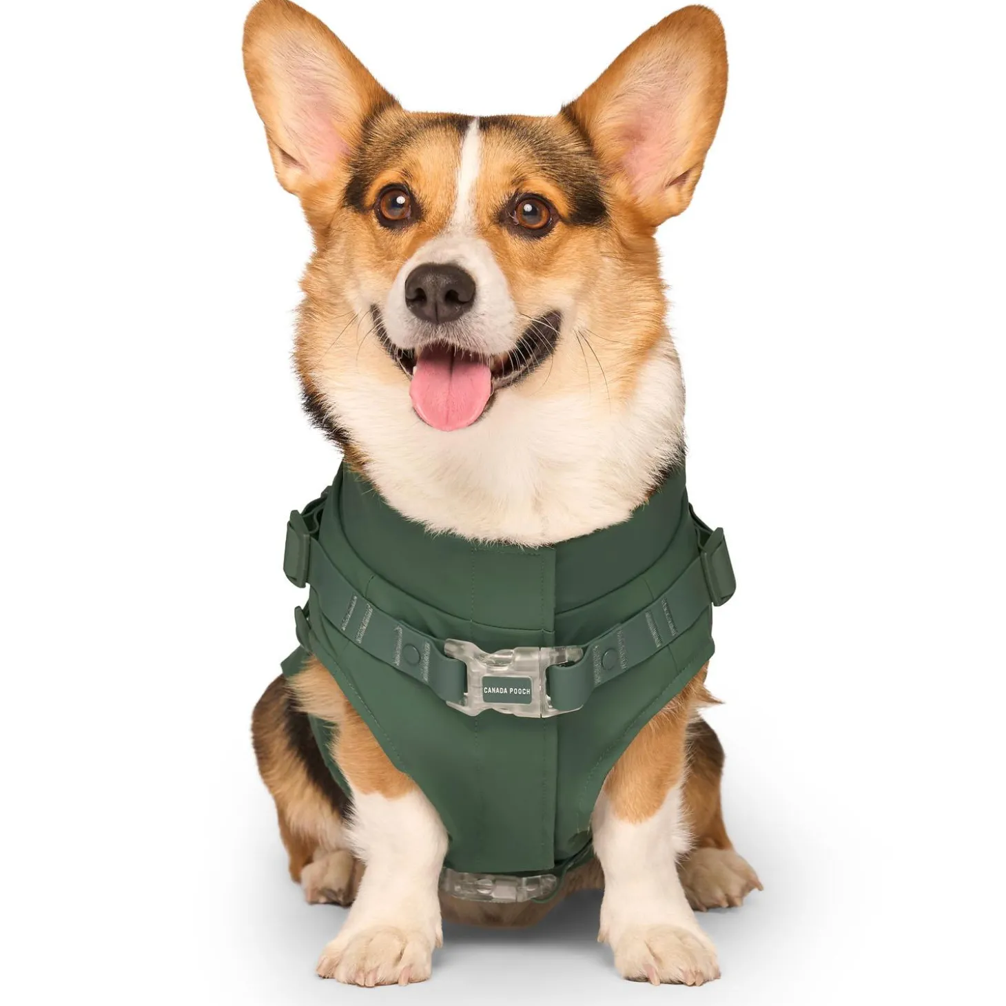 Forest Green Raincoat Harness