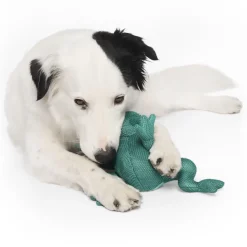 Freeze and Chill Cooling Pal Teal Frog Dog Toy